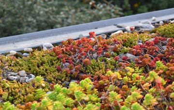 the cost of Hendre green roof installation