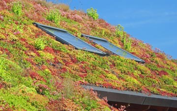 Hendre living roof systems