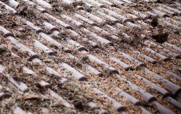 Hendre roof cleaning companies