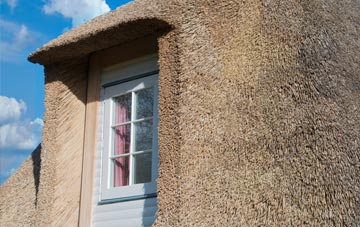 Hendre thatch roof disadvantages