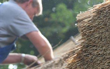 professional Hendre thatchers